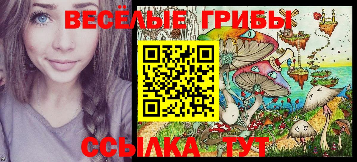 Псилоцибиновые грибы GOLDEN TEACHER Саяногорск